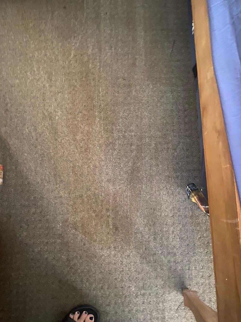 Bentley Carpet Care carpet cleaning work in Kearneys Spring
