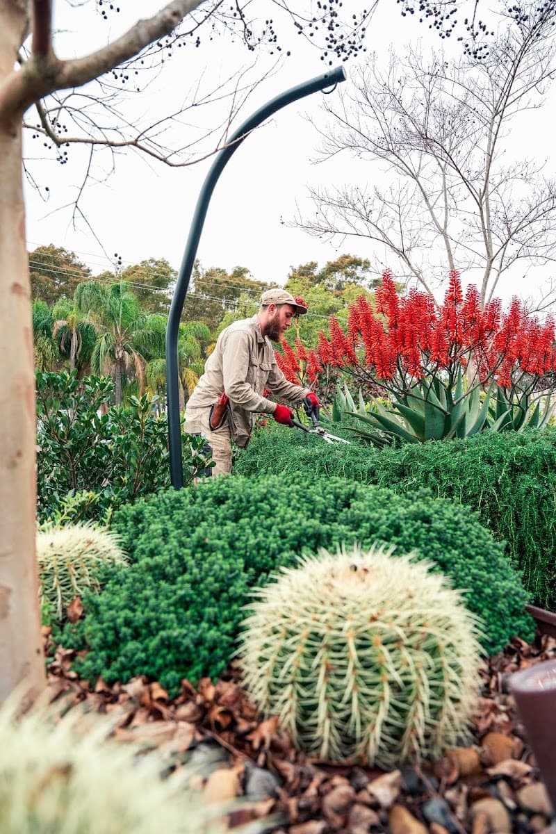 Bespoke gardens central coast gardening work in Killarney Vale
