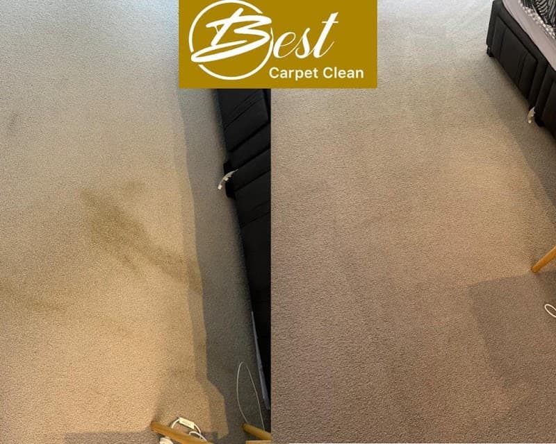 Best Carpet Clean carpet cleaning work in Sydney
