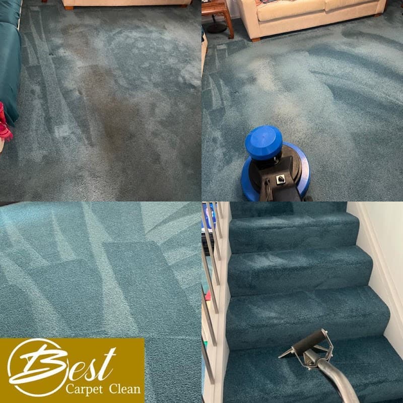 Best Carpet Clean carpet cleaning work in Sydney