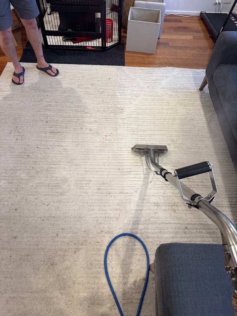 Best Carpet Cleaning Sutherland shire carpet cleaning work in Sutherland