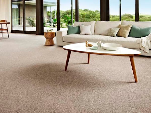 Best Carpet Cleaning Sutherland shire carpet cleaning work in Sutherland