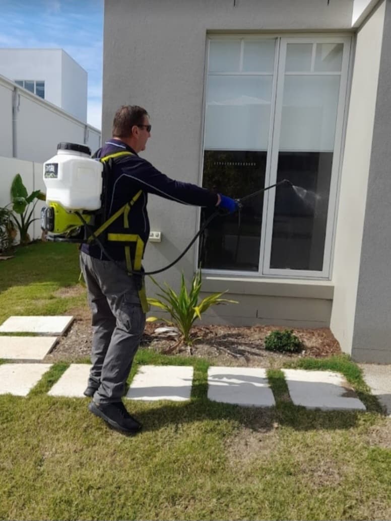 Best Pest Control & Home Services pest control work in Dakabin