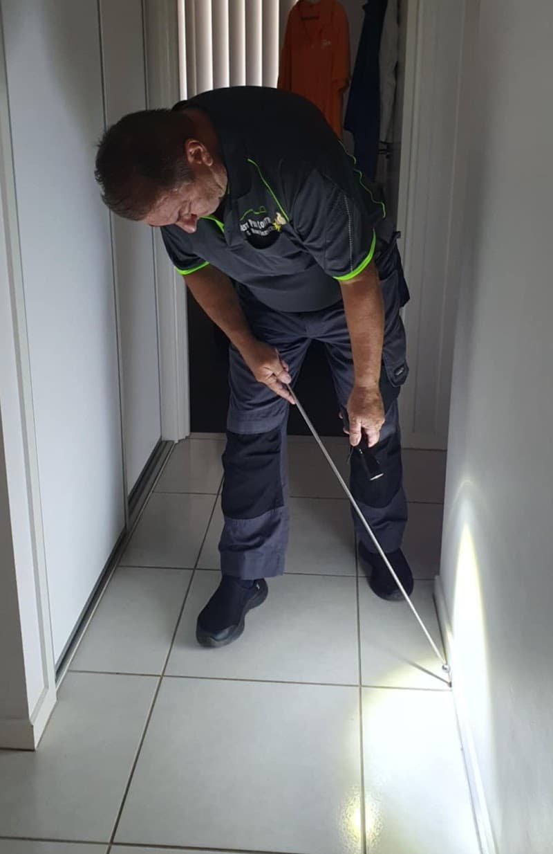 Best Pest Control & Home Services pest control work in Dakabin