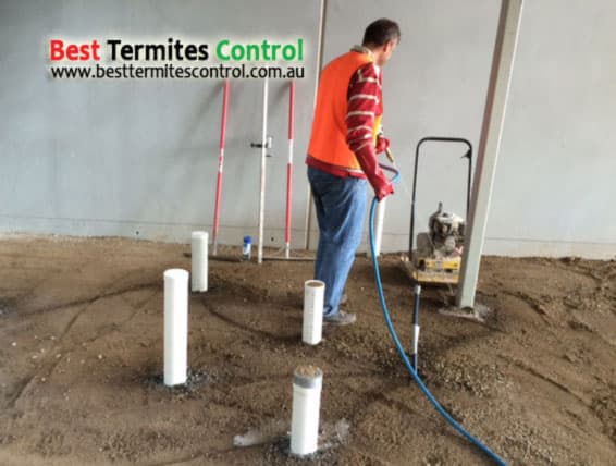 Best Termites Control pest control work in Dandenong