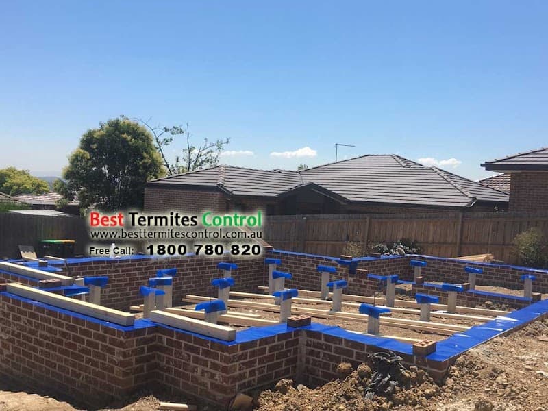 Best Termites Control pest control work in Dandenong