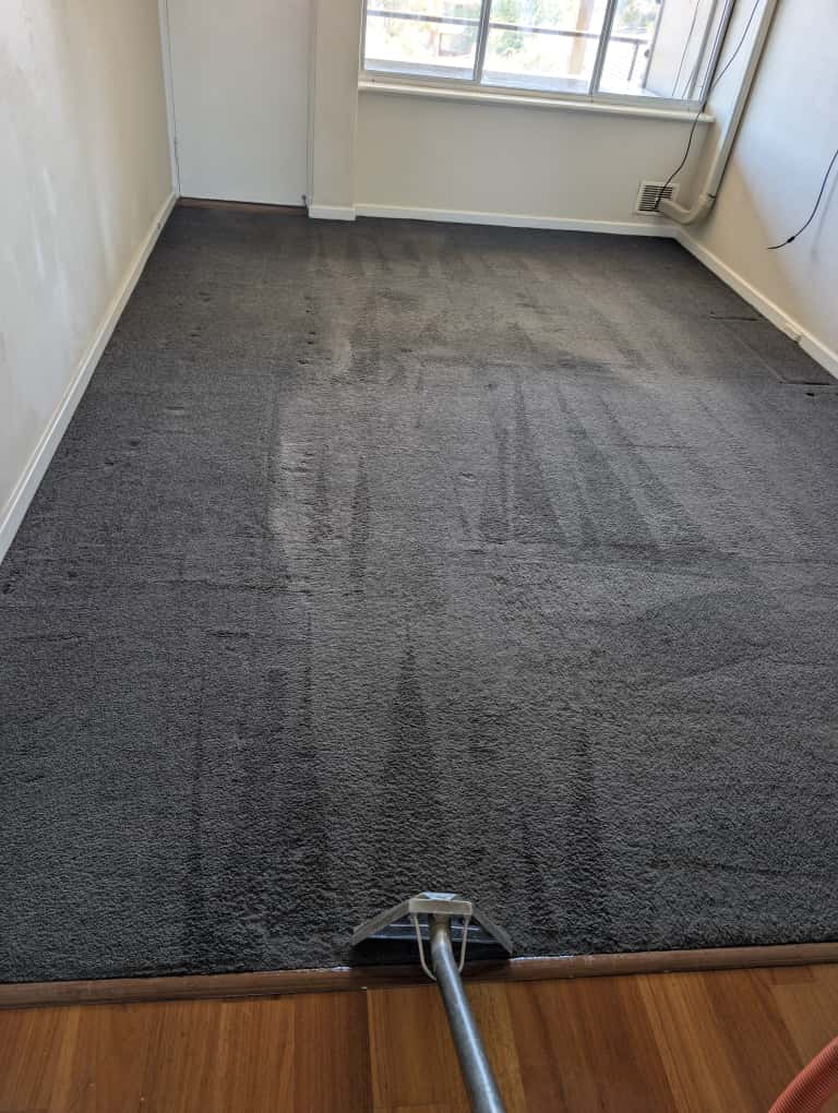 Best Value Clean carpet cleaning work in Heathridge