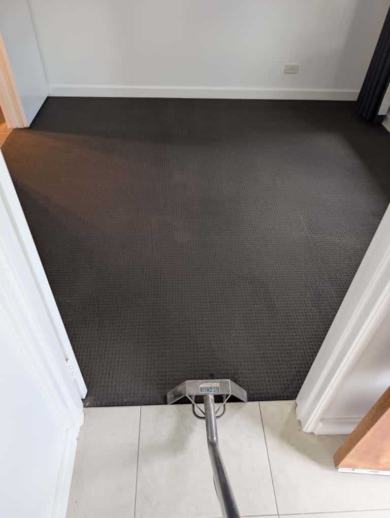 Best Value Clean carpet cleaning work in Heathridge