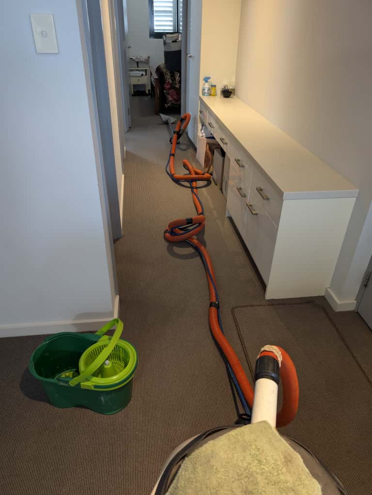 Best Value Clean carpet cleaning work in Heathridge