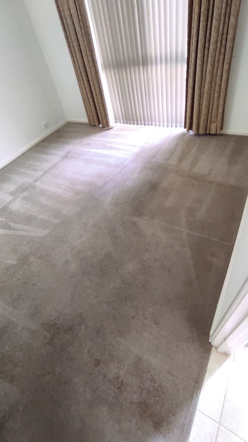 Best Value Clean carpet cleaning work in Heathridge