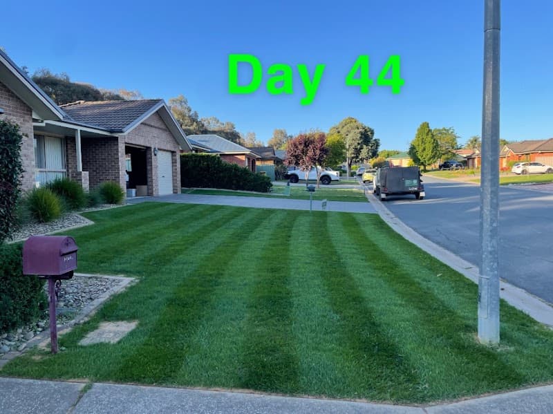 Beyond The Mow lawn care work in Thurgoona