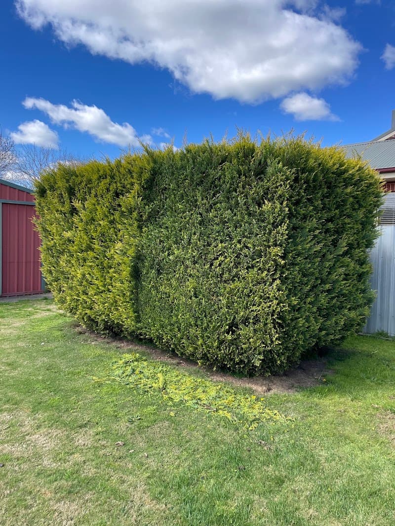 Beyond The Mow lawn care work in Thurgoona