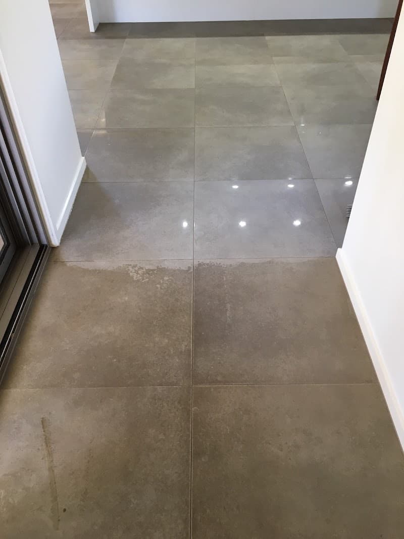 BFS Carpet Cleaning & Pest Control carpet cleaning work in Buderim