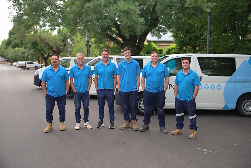 BioPest Australia | Adelaide Pest Control Services pest control work in Glenelg South