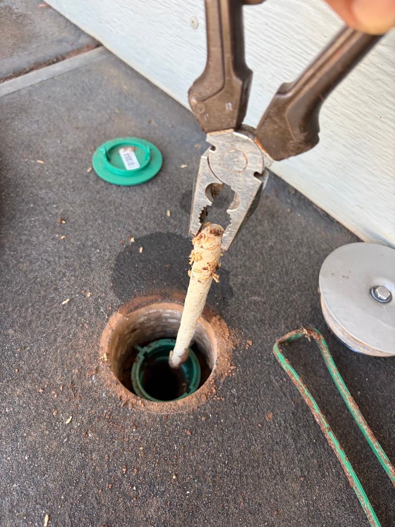 BioPest Australia | Adelaide Pest Control Services pest control work in Glenelg South