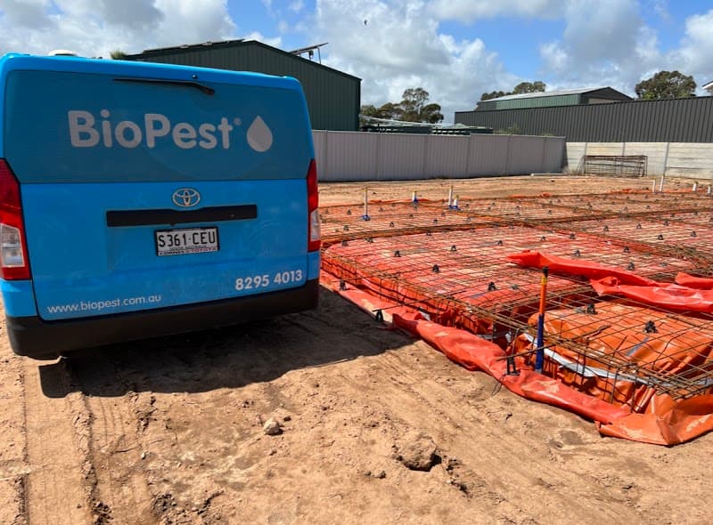 BioPest Australia | Adelaide Pest Control Services pest control work in Glenelg South