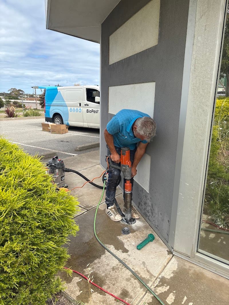 BioPest Australia | Adelaide Pest Control Services pest control work in Glenelg South