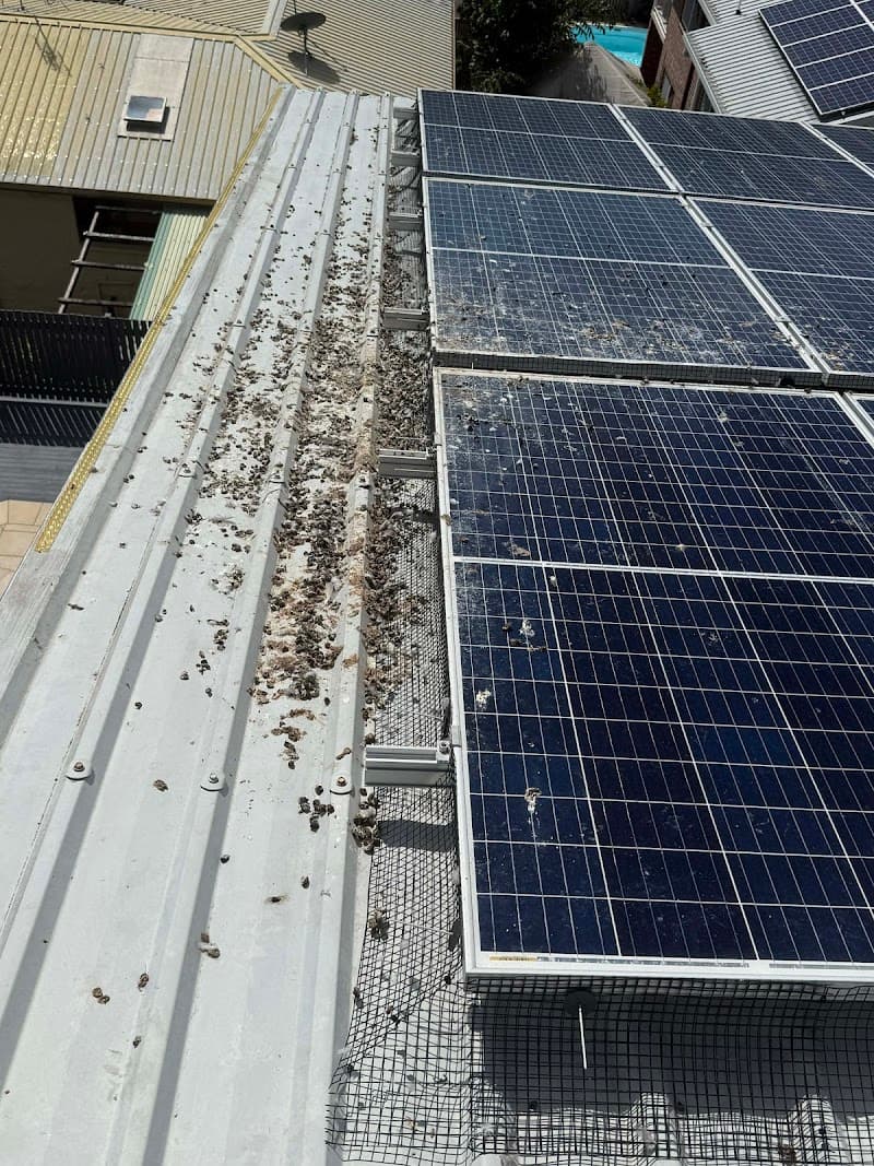 Bird Proof Solar Townsville solar panel installation work in Garbutt