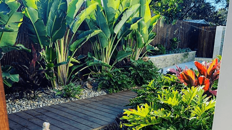 Bird's Backyard Landscapes landscaping work in Illawong