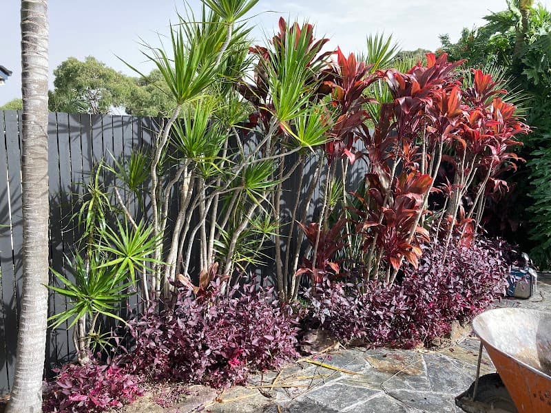 Bird's Backyard Landscapes landscaping work in Illawong