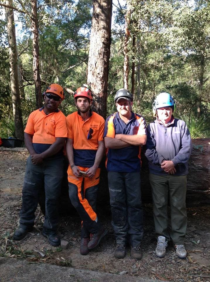 Black Forest Tree Service tree services work in Greystanes