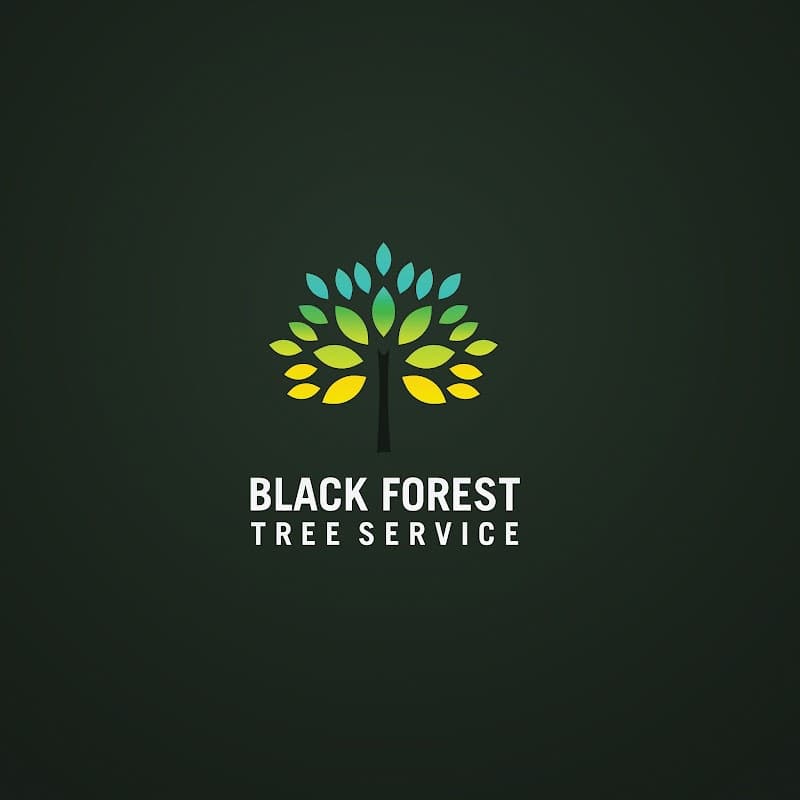 Black Forest Tree Service tree services work in Greystanes