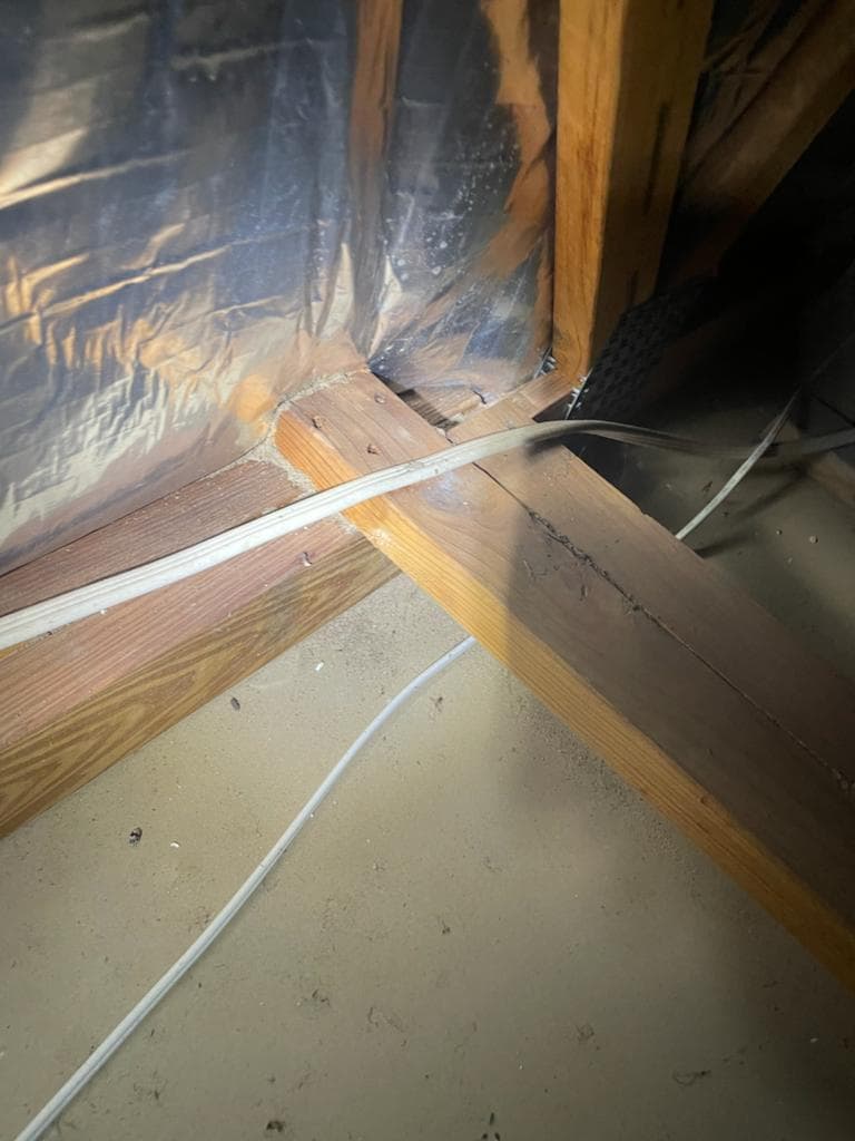 Black Label Pest Management - Pest Control Newcastle pest control work in Hamilton