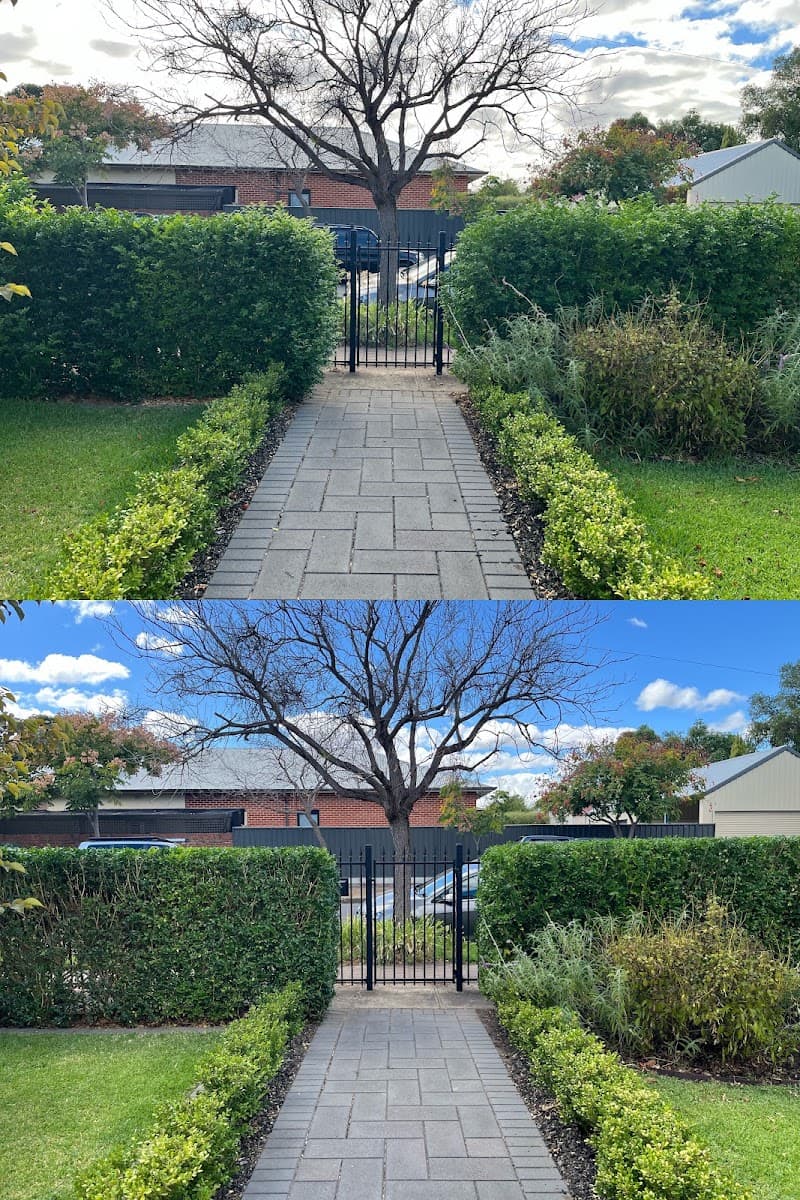 Blades & Spades Garden Services lawn care work in Clapham