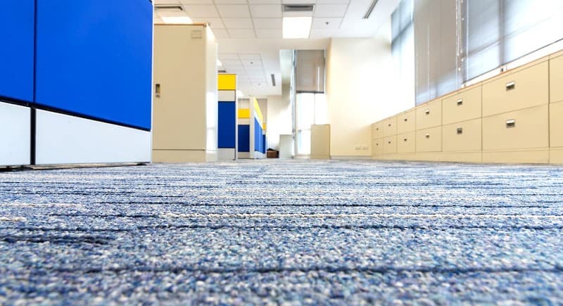Blanch and Doyle's carpet cleaning work in Kirrawee