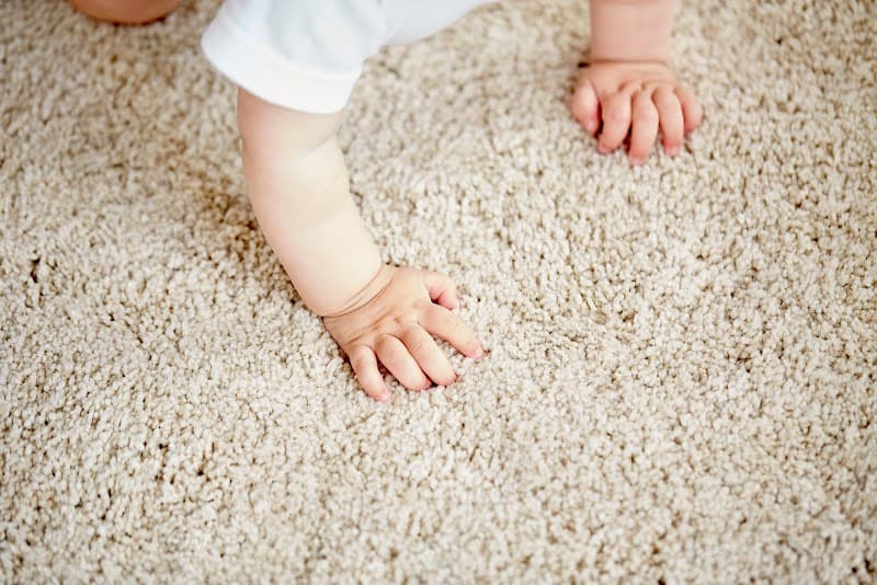 Blanch and Doyle's carpet cleaning work in Kirrawee