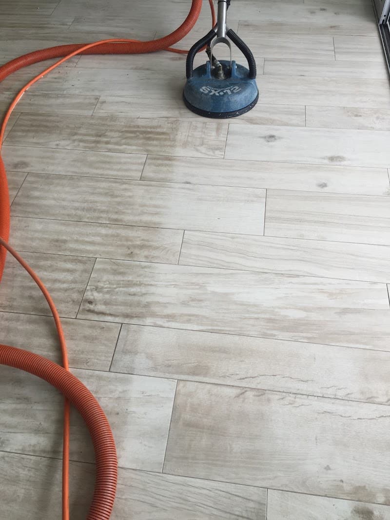 Blanch and Doyle's carpet cleaning work in Kirrawee