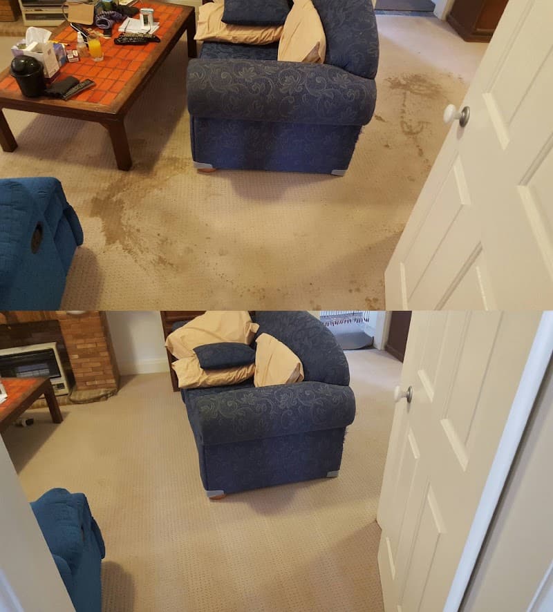 Blanch and Doyle's carpet cleaning work in Kirrawee