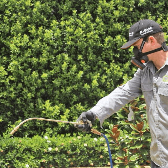 Blast Pest Management pest control work in Cornubia