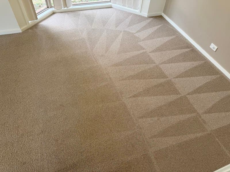 Bless Hygiene Services carpet cleaning work in Boronia Heights