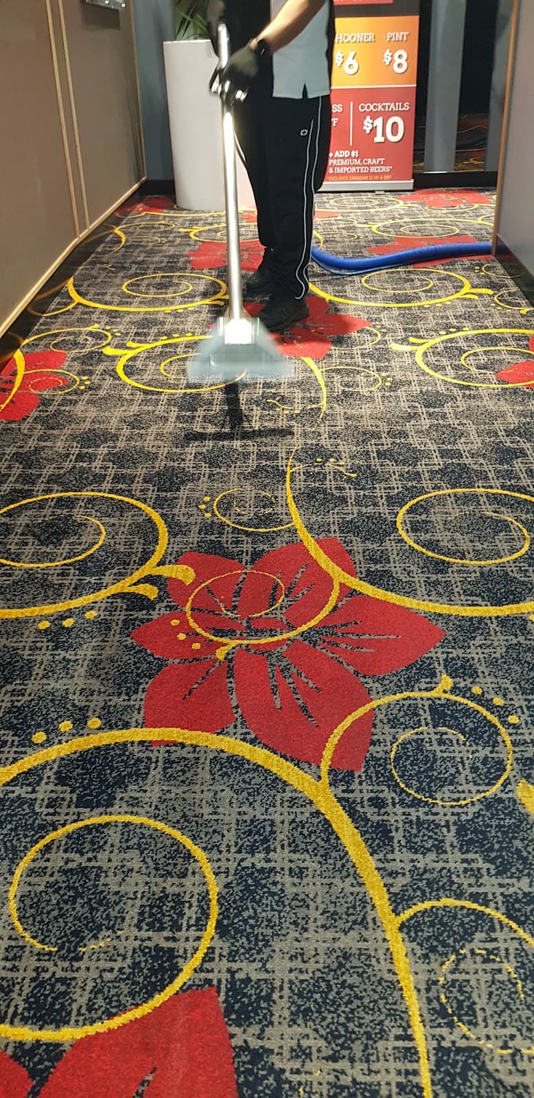 Bless Hygiene Services carpet cleaning work in Boronia Heights