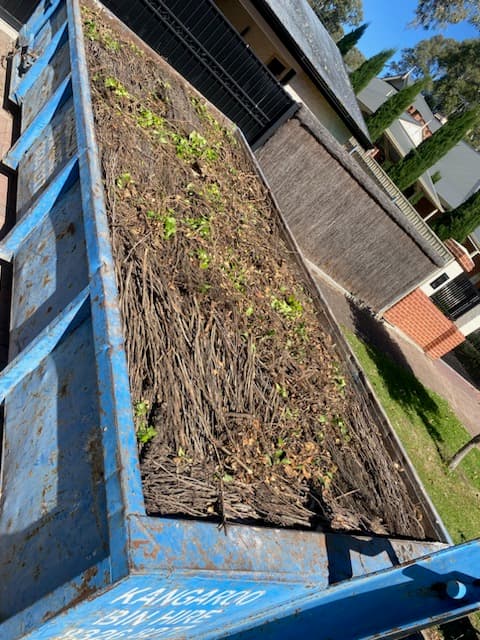 Blue Bins Waste Pty Ltd (Blue Bins) rubbish removal work in North Plympton