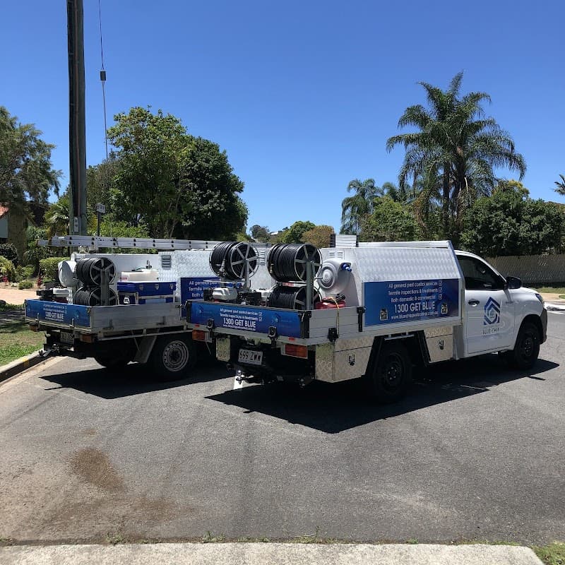 Blue Chip Termite & Pest Control pest control work in Kedron