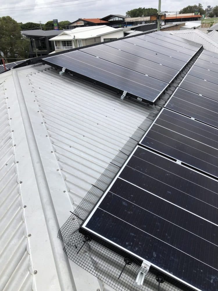 Blue Chip Termite & Pest Control pest control work in Kedron