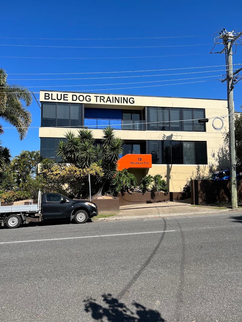Blue Dog Training dog training work in Milton