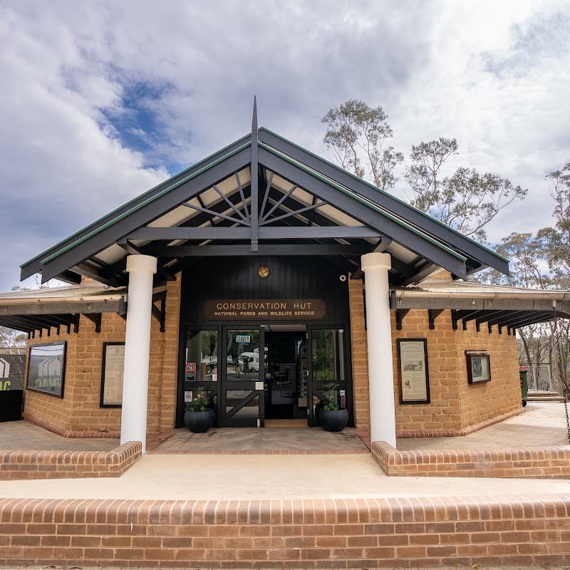 Blue Mountains Painting painter work in Faulconbridge