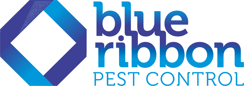 Blue Ribbon Pest Control pest control work in null