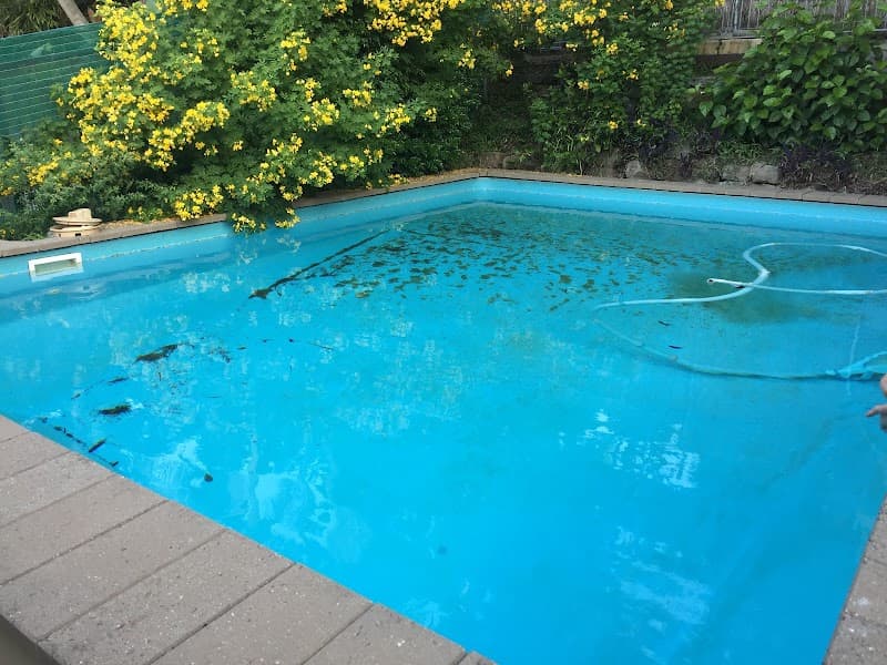 Blue Ribbon Pool Care pool maintenance work in Darlinghurst