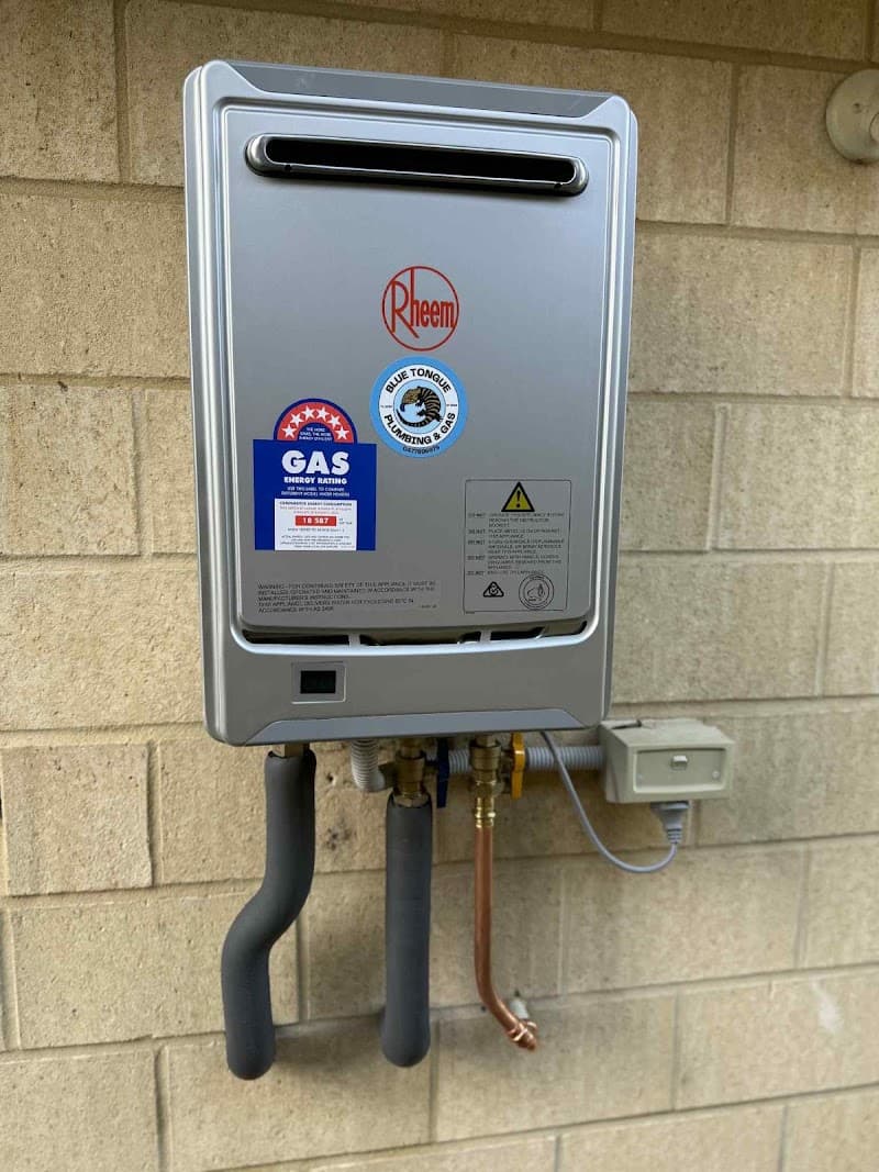 Blue Tongue Plumbing and Gas plumber work in Geographe