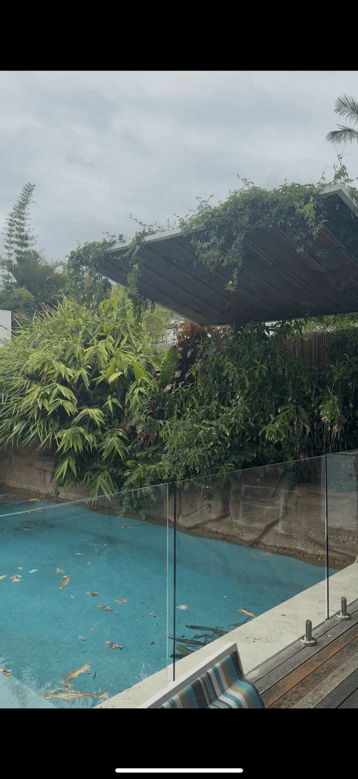 BlueWave Landscaping and Lawncare landscaping work in Miranda