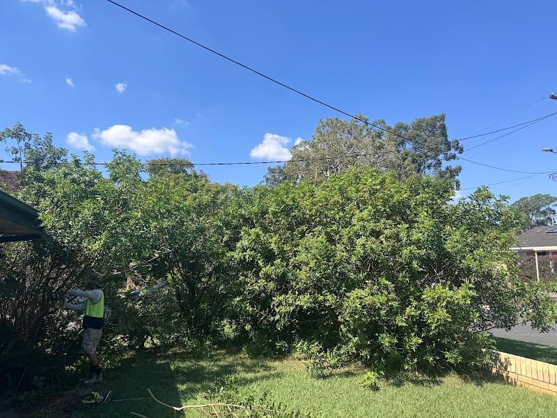 BNE Lawn Care landscaping work in Rochedale South