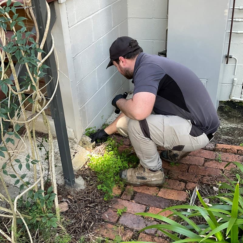 Bob Gunn Termite Solutions pest control work in Loganholme