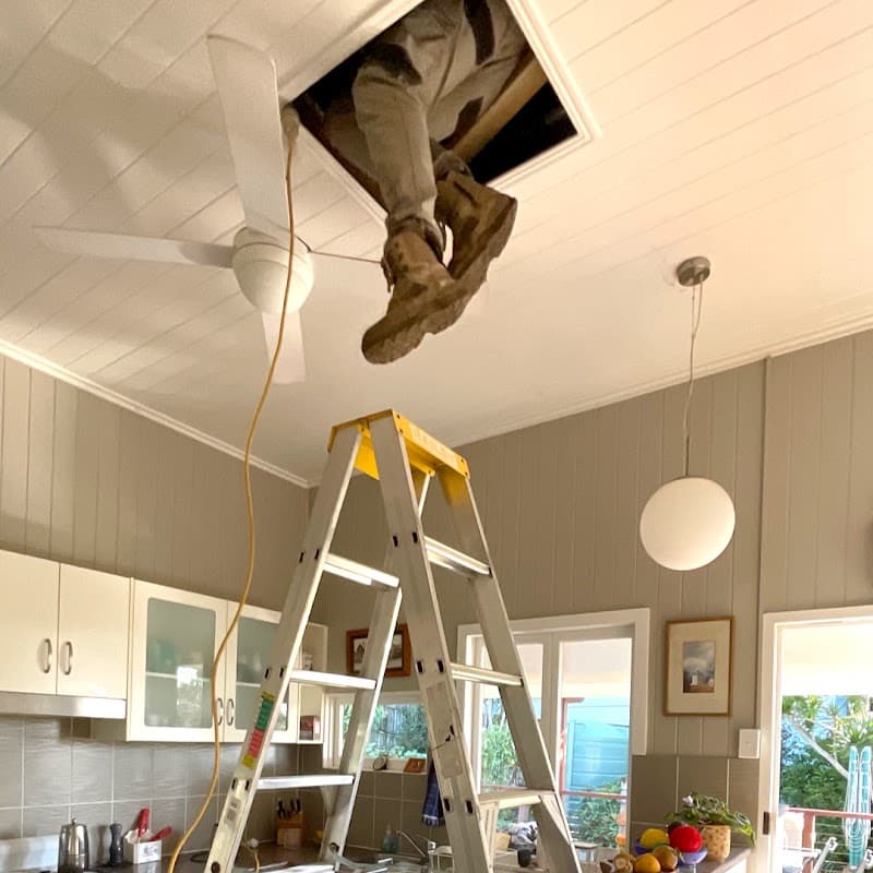 Bob Gunn Termite Solutions pest control work in Loganholme