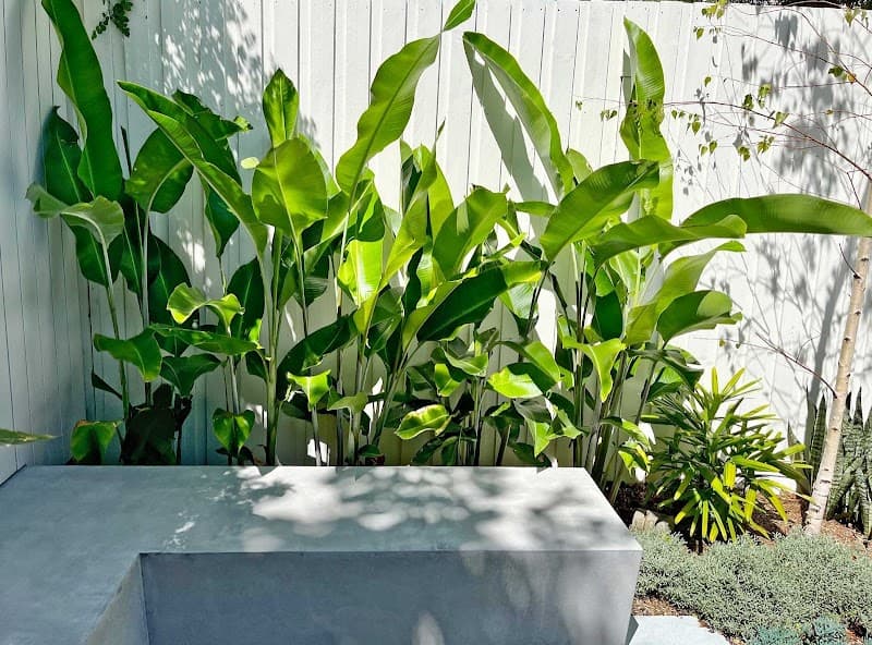 Bondi Landscapes | Sydney Landscapers & Designers landscaping work in Bondi Beach