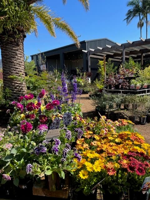 Bonville Nursery landscaping work in Bonville
