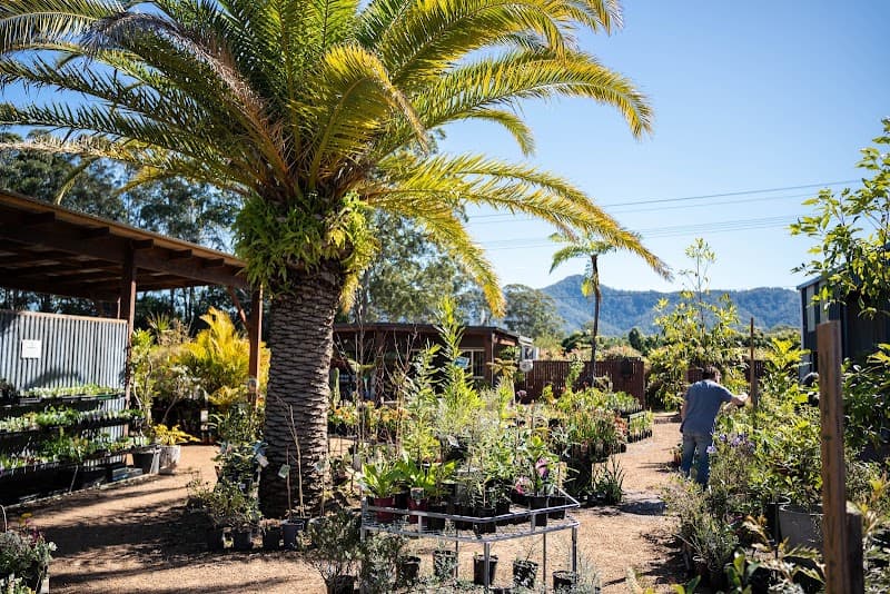Bonville Nursery landscaping work in Bonville